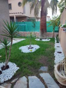 a garden with two palm trees and rocks at El Chalét de Manolo in Aljaraque