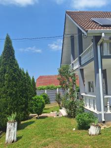 a house with a yard with trees and bushes at Casa Maria in Costeşti