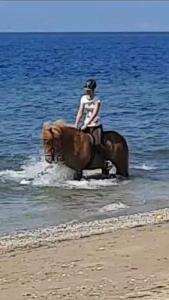 Ιππασία σε αυτή η βίλα ή εκεί κοντά