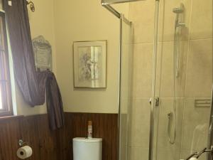 a bathroom with a glass shower and a toilet at Thyme and Again B&B Estcourt in Estcourt