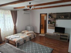 a bedroom with a bed and a flat screen tv at Casa David&Alexia 2 Mai in 2 Mai
