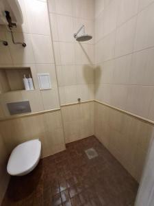 パルヌにあるPikk 24 apartment - Pärnu kesklinn - City centerのトイレとシャワー付きのバスルーム +23枚の写真