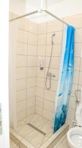 a shower with a blue shower curtain in a bathroom at CASA Bia in Haţeg