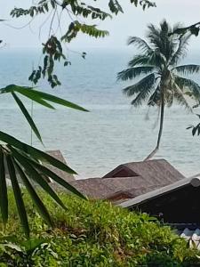 Gallery image of Tropical Reserve Hostel in Baan Khai