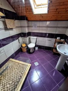 a bathroom with a toilet and a sink at Casa David&Alexia 2 Mai in 2 Mai +75 photos