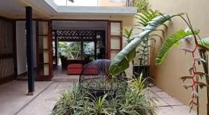 Zahrada ubytování Villa Inavni