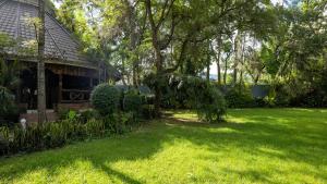 Fotografie z fotogalerie ubytování Vijiji Center Lodge and Safari v destinaci Arusha