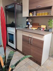 Kuchyň nebo kuchyňský kout v ubytování Exit festival house stay