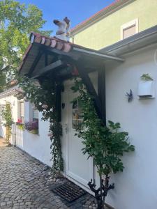 a dog sitting on the roof of a house at Ferienwohnung Heyne in Weinböhla