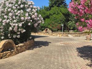 Um jardim em Sa Branda Costa Country Alghero