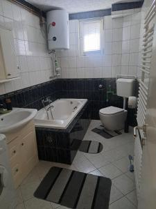 a bathroom with a sink and a toilet at Garden- pool apartman in Petrovice Donje +34 photos