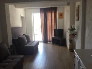 a living room with a couch and a television at Apartments Ismy in Ulcinj