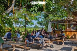 Επισκέπτες που μένουν στο Binifarm Tropical Retreat