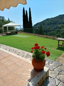 Gallery image of Golden Sun Villa in Stavrós +59 photos