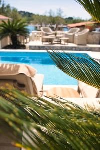 a view of a swimming pool with chairs and a palm tree at Moya Boutique Sleep in Mali Drvenik