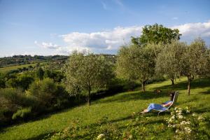 a woman sitting in a chair in a field at Borgo Villa Certano - Case Vacanza in Toscana in Siena +142 photos