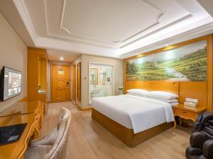 Sjónvarps- og/eða afþreyingartæki á Vienna International Hotel Changsha BBK Meixi Xintiandi Branch
