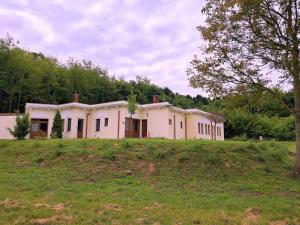 a house on top of a grassy hill at Elephant guesthouse in Somogyvámos