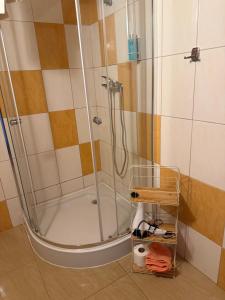 a shower with a glass door in a bathroom at FALEZA Dębina in Debina
