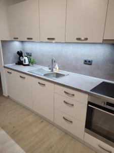 Virtuve vai virtuves zona naktsmītnē Apartment u Ježků