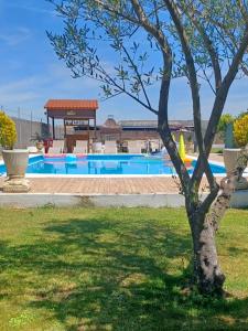 Πισίνα στο ή κοντά στο Villa La Espiga