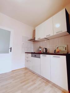 Kuchyň nebo kuchyňský kout v ubytování Apartment Magnolia