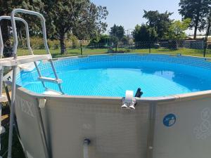 a small swimming pool with a bird sitting in it at L'Escale Pernoise, 2-6 personnes in Pernes-les-Fontaines +10 photos
