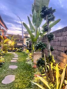Giardino di Di Kubu YR