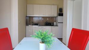 Kuchyň nebo kuchyňský kout v ubytování Central View Apartment + 10 fotografií