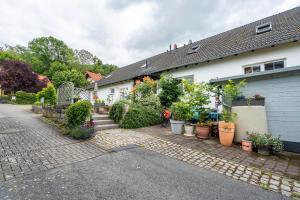 a house with a lot of potted plants in front of it at Ferienwohnung Zur alten Säge in Dresden