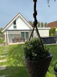 a hanging basket with a plant in a yard at Ferienhaus Zee-Tijd in Herkingen
