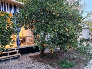 Gallery image of Citrrus bungalo 5 km to see in Bahtılı