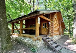 a small log cabin in the woods with a tree at Hotel Doi Haiduci in Orhei