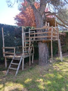a tree house sitting on top of a tree at Cedrosierra in Moralzarzal