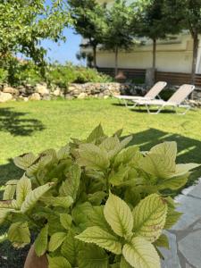 Gallery image of Christina in Ágios Konstantínos