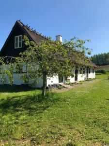 una casa en blanco y negro con un árbol delante en Cottage Charm Near Svebølle Amidst Fields, en Svebølle 22 fotos más