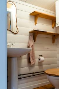 un bagno con lavandino e WC di Wild Nature Experience And Art In New Setting a Hornbæk Altre 21 foto
