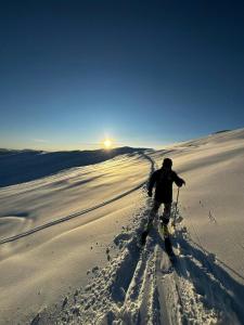 Gallery image ng Cabin Embraced By Extrairdinary Nature sa Hafslo