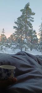 a person holding a coffee cup in front of a snow covered tree at Modern Cabin By Snøhetta At Blefjell in Svene +27 photos