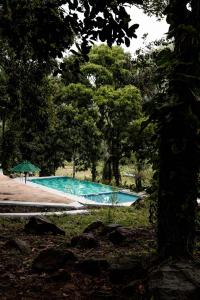 a swimming pool in a park with a green umbrella at Southwinds, Pilagoda Estate Bungalow in Pillagoda