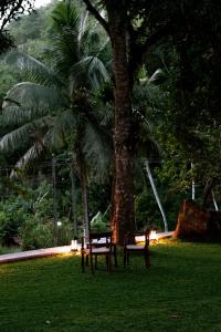 Fotografie z fotogalerie ubytování Southwinds, Pilagoda Estate Bungalow v destinaci Pillagoda + 26 fotografií