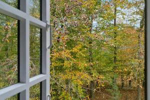 En have udenfor Forest House Near Ahl Beach