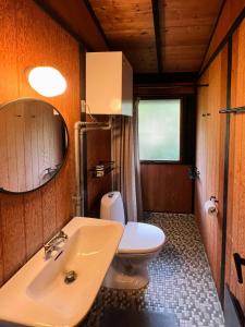 Un baño con inodoro, lavabo y espejo. en Original 70S Home Surrounded By Woods, en Vejby
