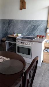 Kuchyň nebo kuchyňský kout v ubytování Apartman SANI