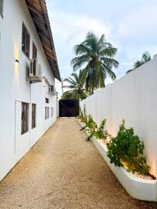 a hallway of a white building with a palm tree at Tulivu Zanzibar in Bwejuu