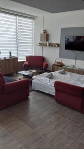 Postel nebo postele na pokoji v ubytování Apartman SANI