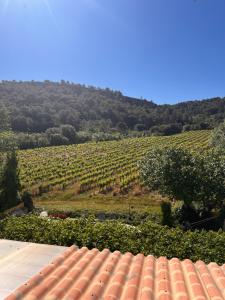 Gallery image of La Souche Chambres et Table d'Hôtes in Saint-Chinian