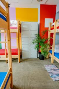 a bedroom with two bunk beds and a plant at Hostel Gdańsk Szafarnia 10 Old Town in Gdańsk