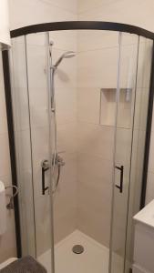 a shower with a glass door in a bathroom at Apartment Rakić Pomer in Pomer +41 photos