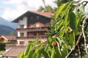 Widok na góry z tego apartamentu